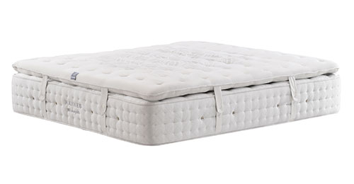 haynes（优雅舒睡棉柔层）